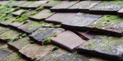 Locksbottom roof repair costs
